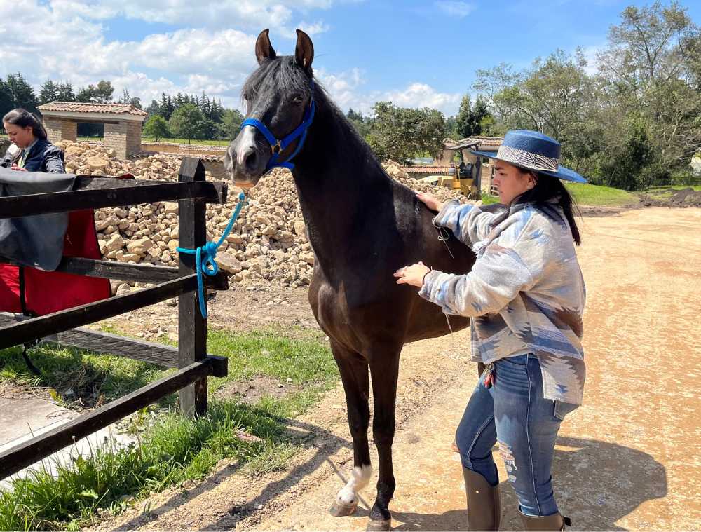 Alquiler de animales en Finca Casa de Teja Subachoque