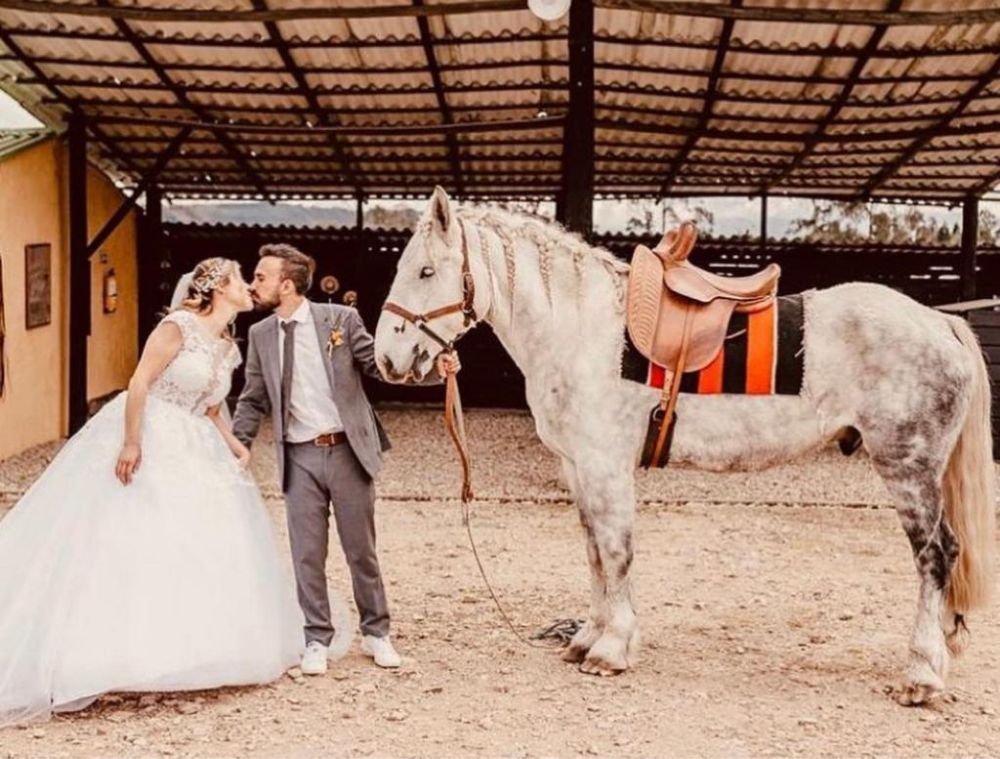 Alquiler de caballo para bodas Alquiler de caballo para bodas