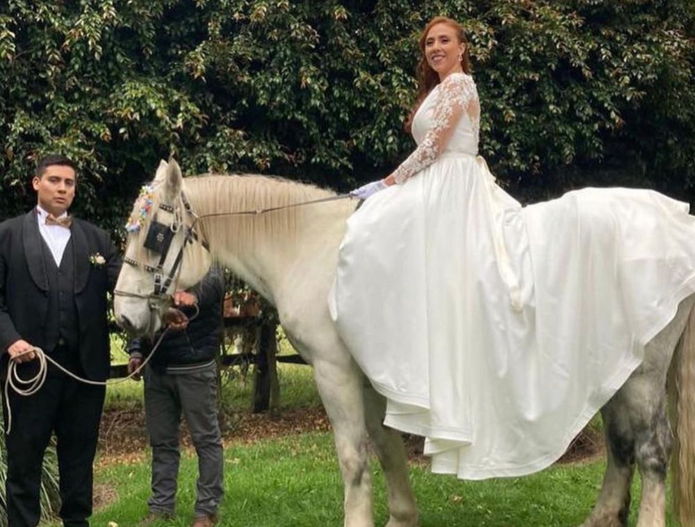 Alquiler percheron para matrimonios Alquiler percheron para matrimonios