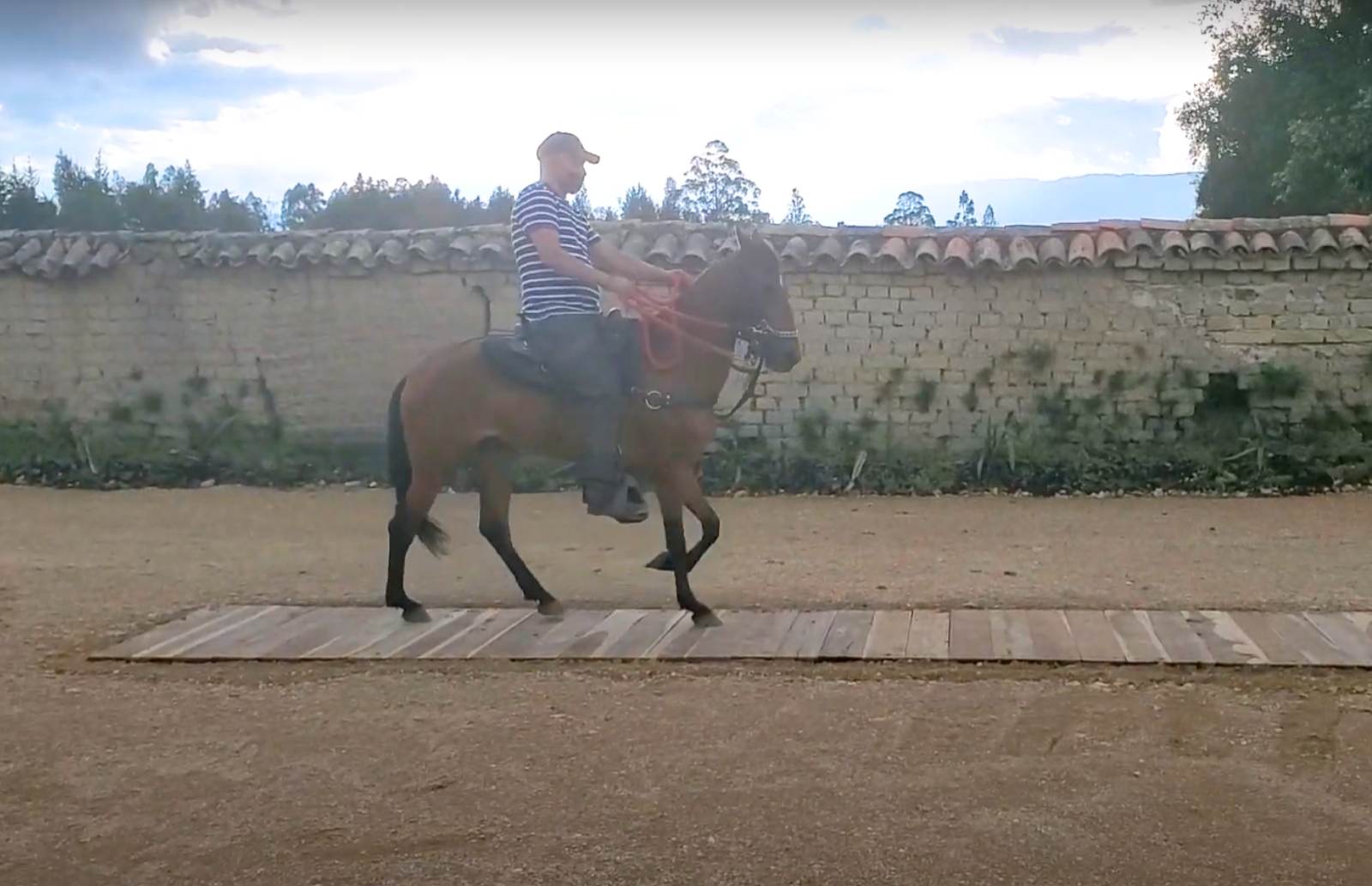 Pista Sonora para caballos de paso Pista Sonora para caballos de paso