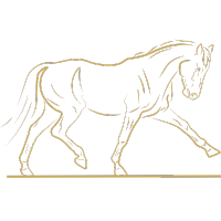 Pista Sonora para caballos de paso