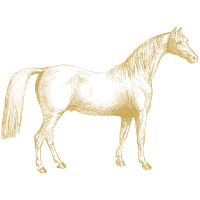 Venta de Caballos FCDT Subachoque