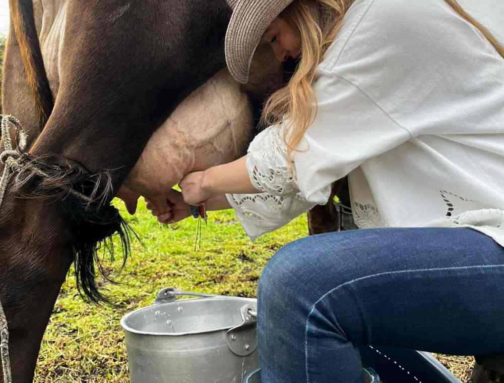 Manos a la leche en Finca Casa de Teja Manos a la leche en Finca Casa de Teja