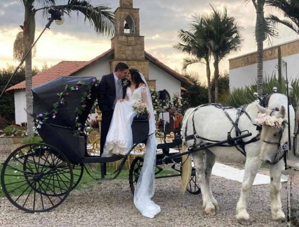 alquiler de carruaje y caballo percheron para bodas alquiler de carruaje y caballo percheron para bodas